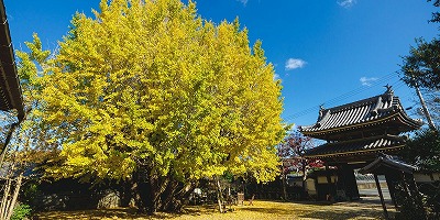 三重県多気郡の旅行で訪れた観光名所、奥伊勢フォレストピア