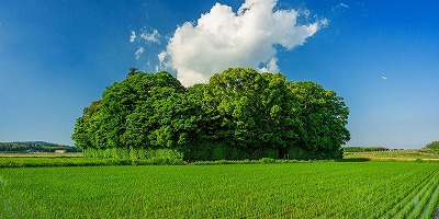 三重県度会郡の旅行で訪れた観光名所、朽羅神社