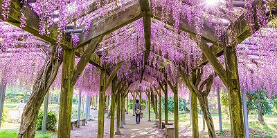 三重県度会郡の旅行で訪れた観光名所、野原農村公園