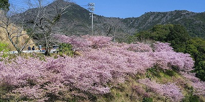 三重県度会郡の旅行で訪れた観光名所、河村瑞賢公園