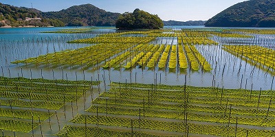 三重県度会郡の旅行で訪れた観光名所、内瀬湾