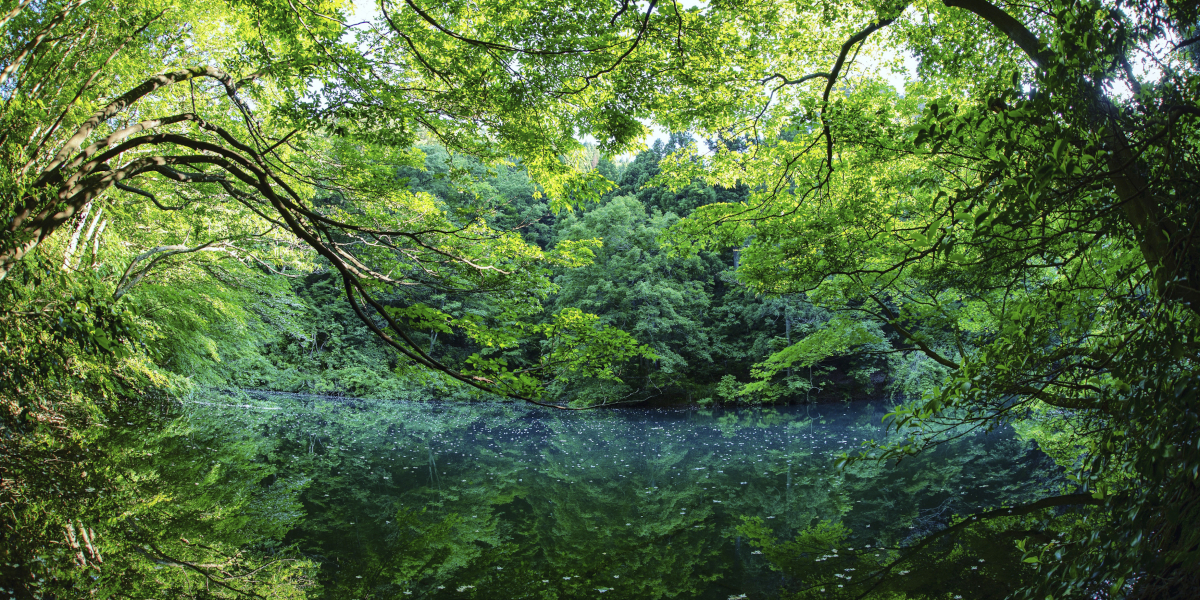 石川県能美市の旅行で訪れた観光名所、蟹淵