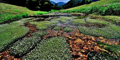 兵庫県美方郡の旅行で訪れた観光名所、