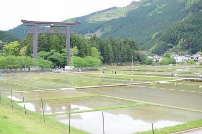 和歌山県田辺市の旅行で訪れた観光名所、熊野本宮大社の大鳥居