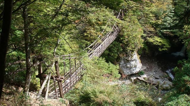 徳島県三好市の旅行で訪れた観光名所、二重かずら橋