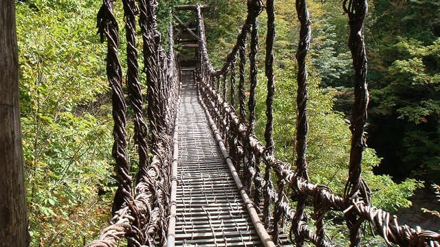 徳島県三好市の旅行で訪れた観光名所、二重かずら橋