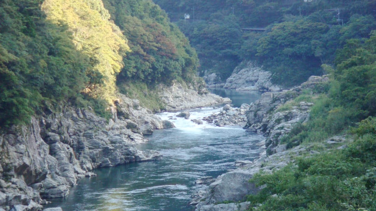 徳島県三好市の旅行で訪れた観光名所、二重かずら橋