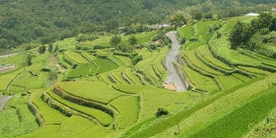 香川県小豆郡の旅行で訪れた観光名所、中山千枚田