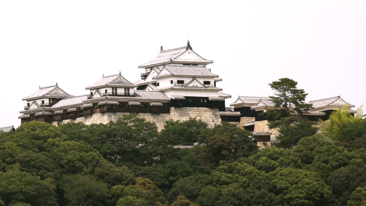 愛媛県の旅行で訪れた観光名所、松山城