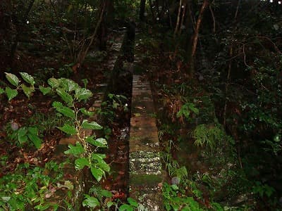 愛媛県新居浜市の旅行で訪れた観光名所、別子銅山（マイントピア別子）