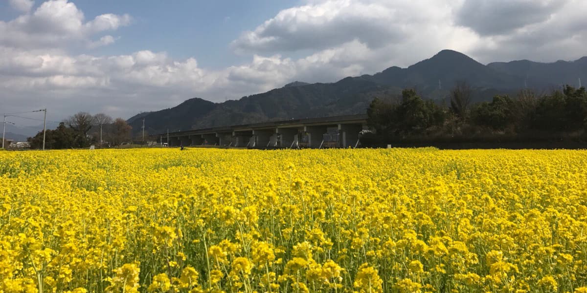 愛媛県東温市の旅行で訪れた観光名所、見奈良