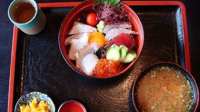 愛媛県を旅行、観光したときのグルメ、海食丼