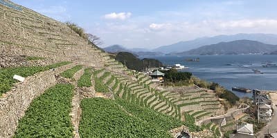 愛媛県宇和島市の旅行で訪れた観光名所、遊子水荷浦