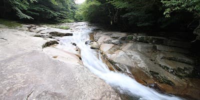 愛媛県宇和島市の旅行で訪れた観光名所、滑床渓谷