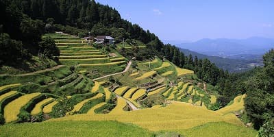 愛媛県喜多郡の旅行で訪れた観光名所、泉谷棚田