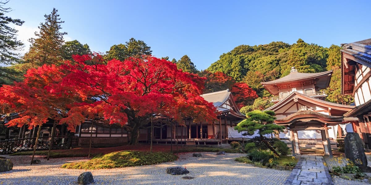 福岡県糸島市の旅行で訪れた観光名所、