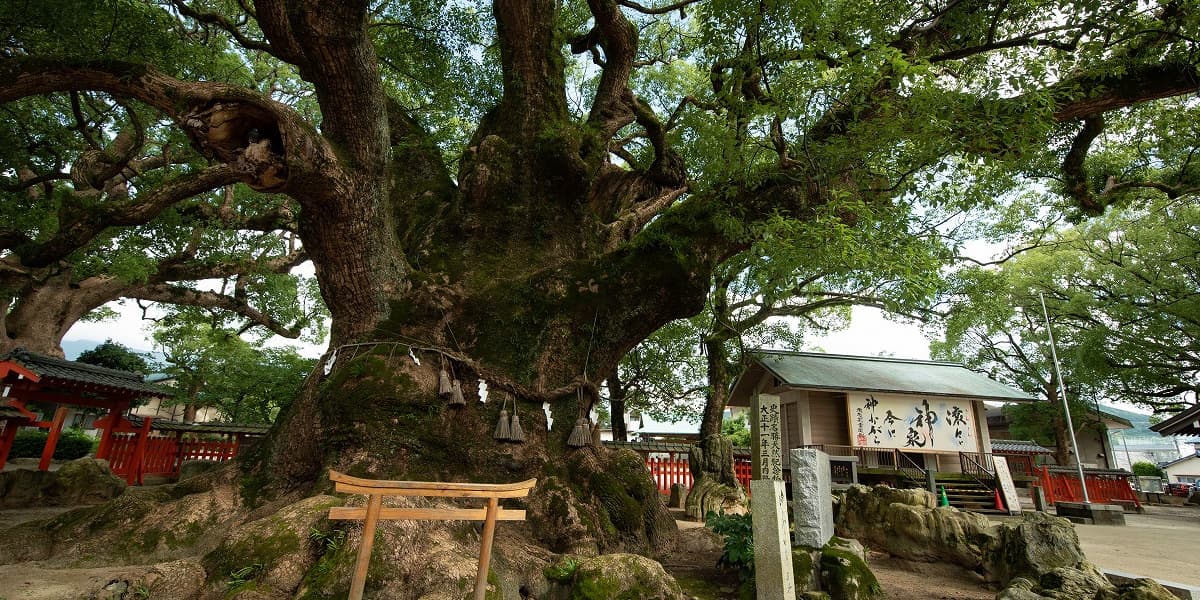 福岡県糟屋郡の旅行で訪れた観光名所、