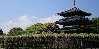 福岡県北九州市の旅行で訪れた観光名所、吉祥寺公園