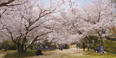 福岡県北九州市の旅行で訪れた観光名所、白野江植物公園