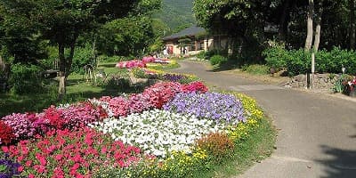 直方市の旅行で訪れた観光名所、福智山ろく花公園