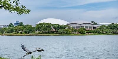 福岡県糟屋郡の旅行で訪れた観光名所、駕与丁公園