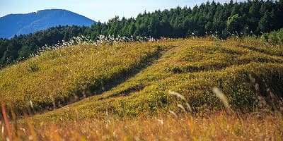 福岡県朝倉郡の旅行で訪れた観光名所、夜須高原