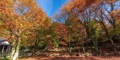 福岡県田川郡の旅行で訪れた観光名所、旧亀石坊庭園