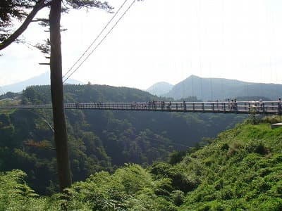 大分県玖珠郡の旅行で訪れた観光名所、九重”夢”大吊橋