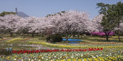 大分県別府市の旅行で訪れた観光名所、別府公園