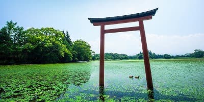 大分県中津市の旅行で訪れた観光名所、薦神社