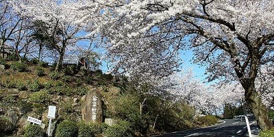 大分県中津市の旅行で訪れた観光名所、八面山