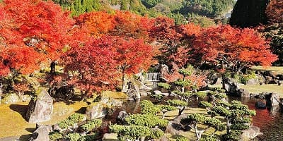 大分県中津市の旅行で訪れた観光名所、溪石園