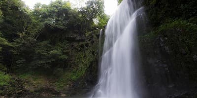 大分県日田市の旅行で訪れた観光名所、桜滝