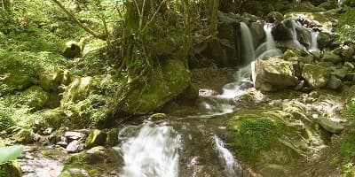 大分県日田市の旅行で訪れた観光名所、御前岳湧水