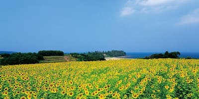 大分県豊後高田市の旅行で訪れた観光名所、長崎鼻