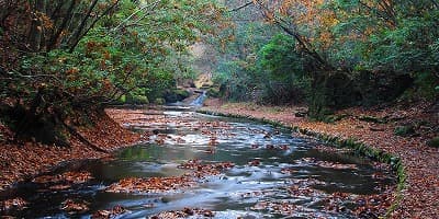 大分県宇佐市の旅行で訪れた観光名所、岳切渓谷