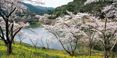 大分県国東市の旅行で訪れた観光名所、安岐ダム