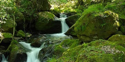 大分県玖珠郡の旅行で訪れた観光名所、清水瀑園