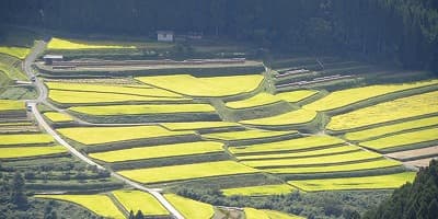 大分県玖珠郡の旅行で訪れた観光名所、山浦早水棚田