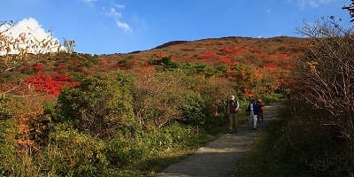 大分県玖珠郡の旅行で訪れた観光名所、牧の戸