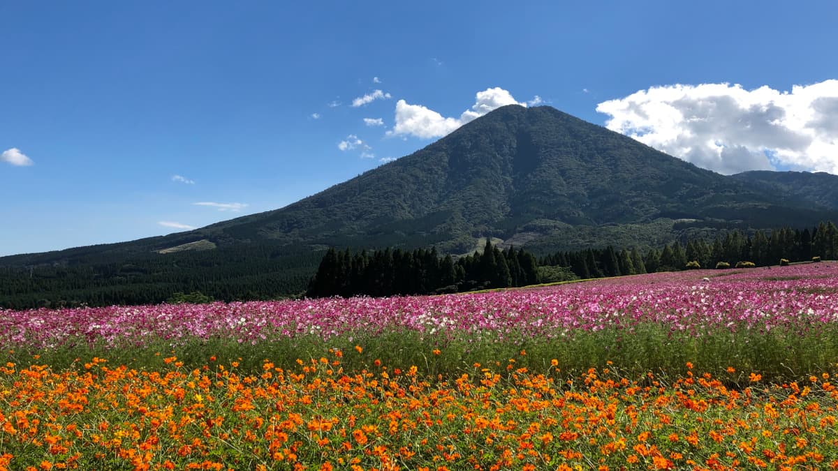 宮崎県小林市の旅行で訪れた観光名所、生駒高原