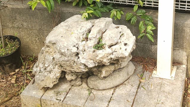 沖縄県宜野湾市の旅行で訪れた観光名所、喜友名石獅子群＿メントー前のシーサー