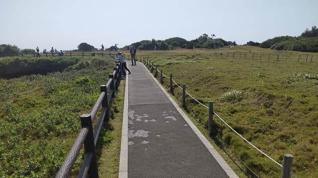 沖縄県国頭郡の旅行で訪れた観光名所、万座毛