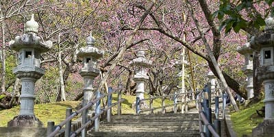 沖縄県名護市の旅行で訪れた観光名所、名護城公園