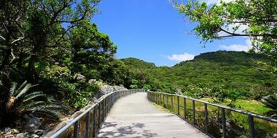 沖縄県国頭郡の旅行で訪れた観光名所、大石林山