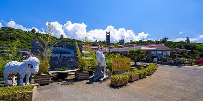 沖縄県国頭郡の旅行で訪れた観光名所、田空の駅