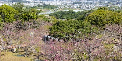 沖縄県島尻郡の旅行で訪れた観光名所、八重瀬公園