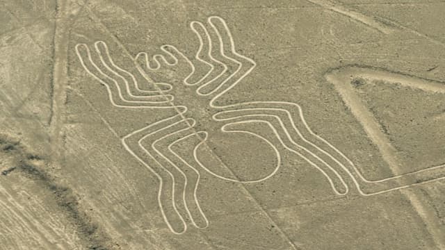 ペルー・イカのナスカの地上絵(蜘蛛)