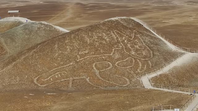 ペルー・イカのナスカの地上絵(猫)