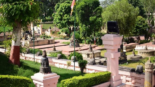 インド・ブッダガヤのマハーボディー寺院(大菩提寺)ラージャヤータナ樹